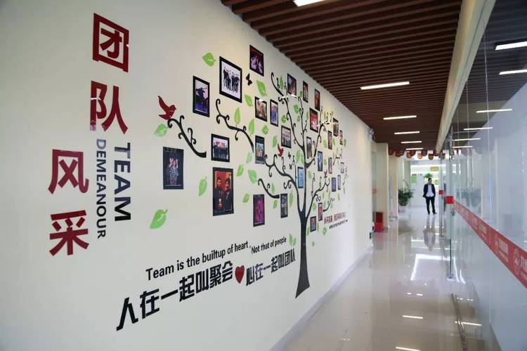 戴新开,公司经营范围包括:一般经营项目是:教育信息咨询(不